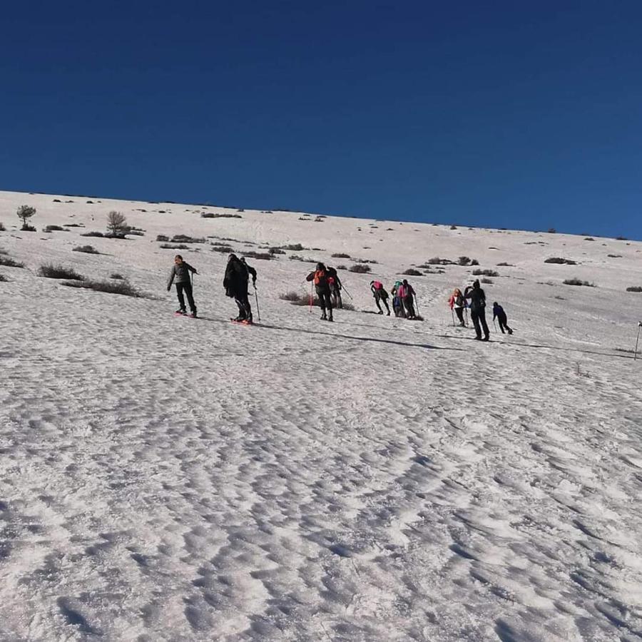 Pensjonat La Pita Almería